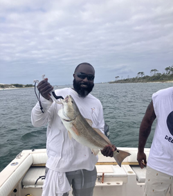 Experience the thrill of deep sea fishing In FL!